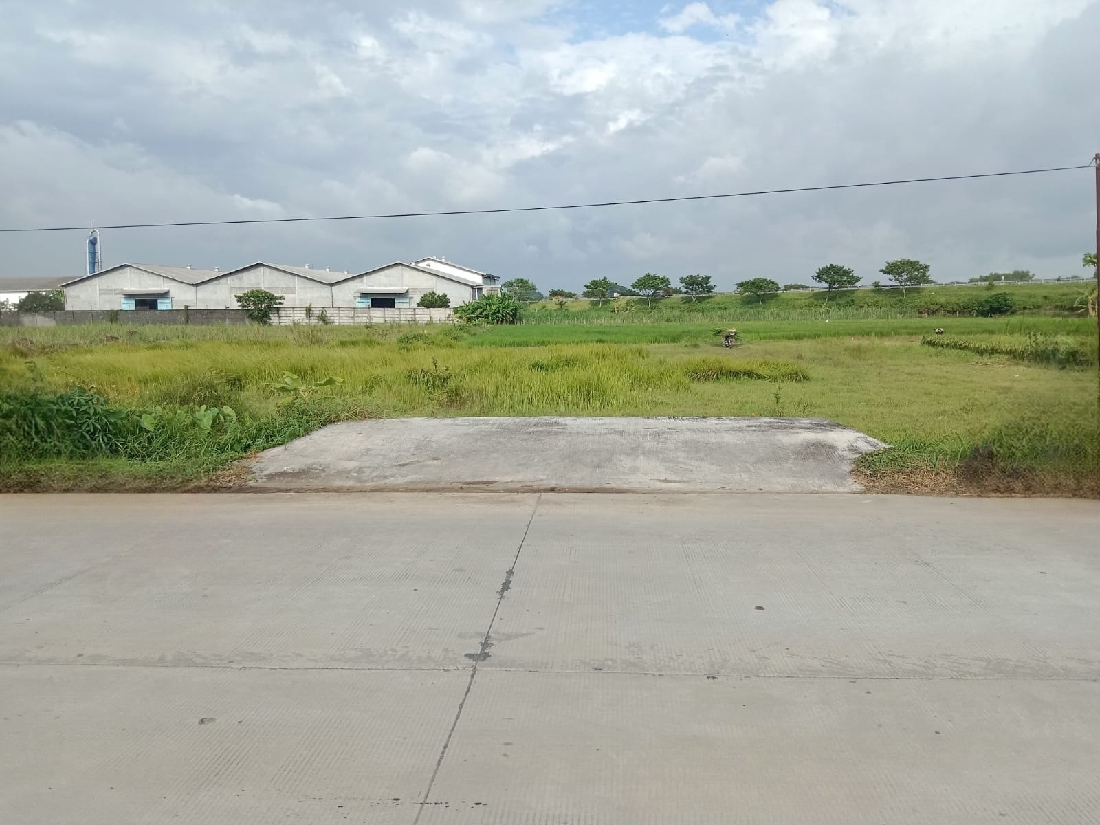 DIJUAL TANAH MURAH STRATEGIS LOKASI MOJOKERTO - Image 1