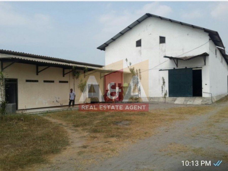 Ex Pabrik Beras dijual murah bonus alat selep - Image 1