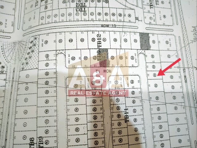 Tanah raffles - Image 1