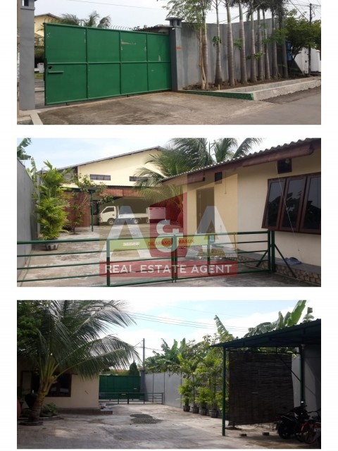 gudang kutilang - Image 1