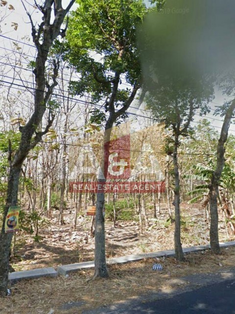 KAVLING WILIS NGANJUK 40 POHON JATI - Image 1