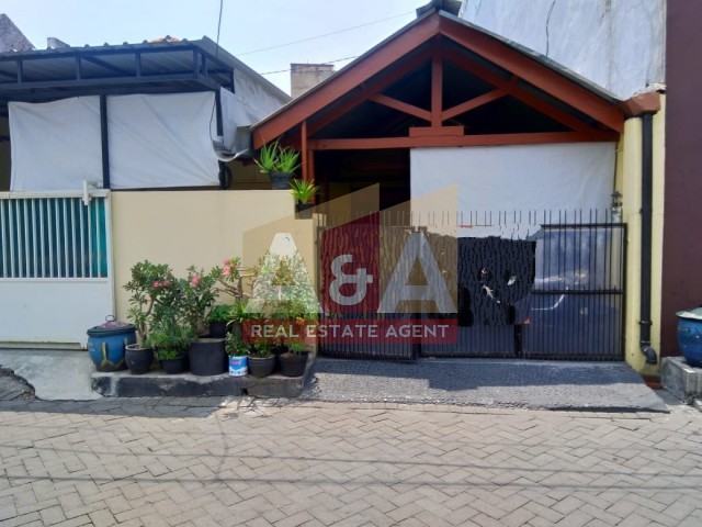 Pucang Adi - Image 1