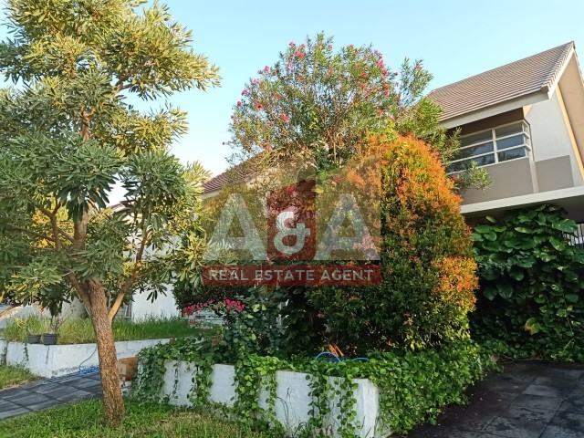 Palma Clasica - Image 1