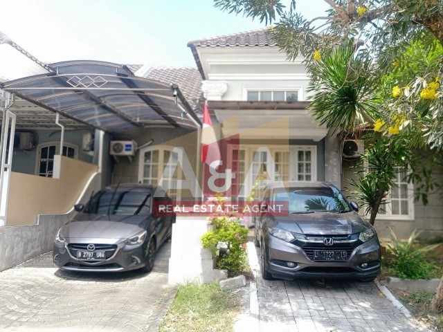 Palma Clasica - Image 1