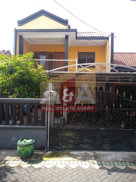 Sepat Lidah Kulon - Image 1