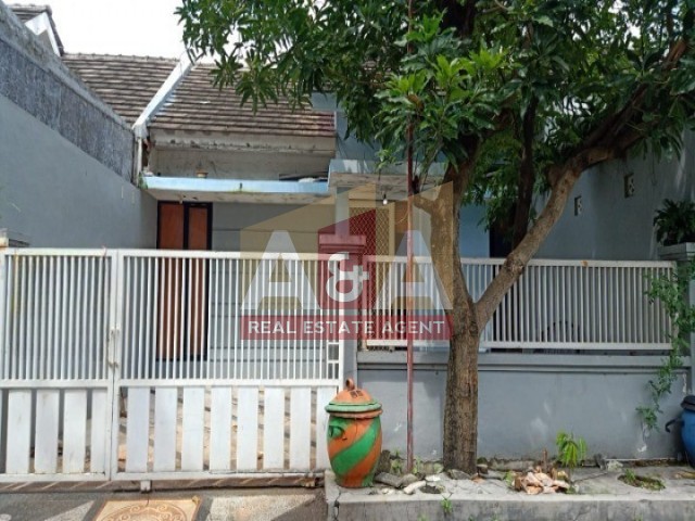 Dreaming Land - Image 1