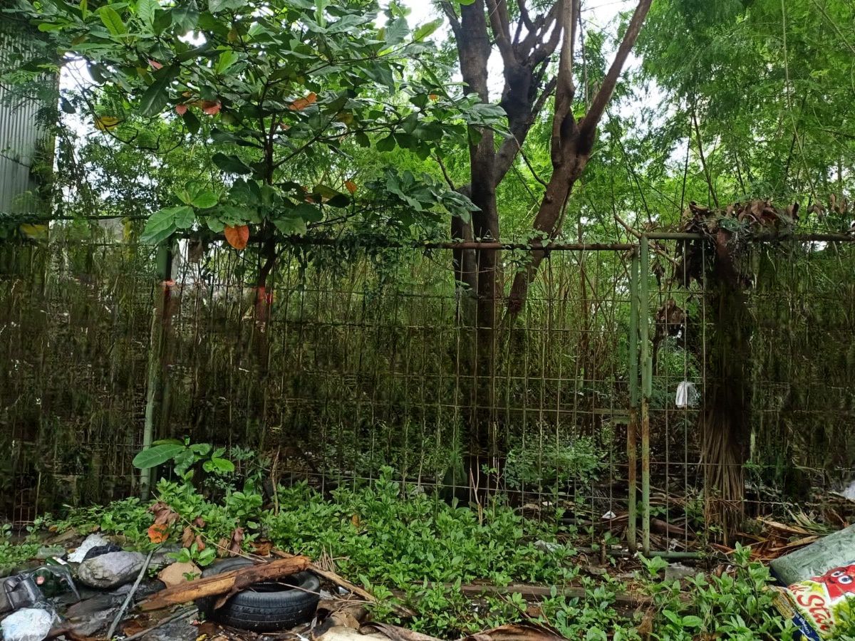 DIJUAL TANAH BINTANG DIPONGGO - Image 1