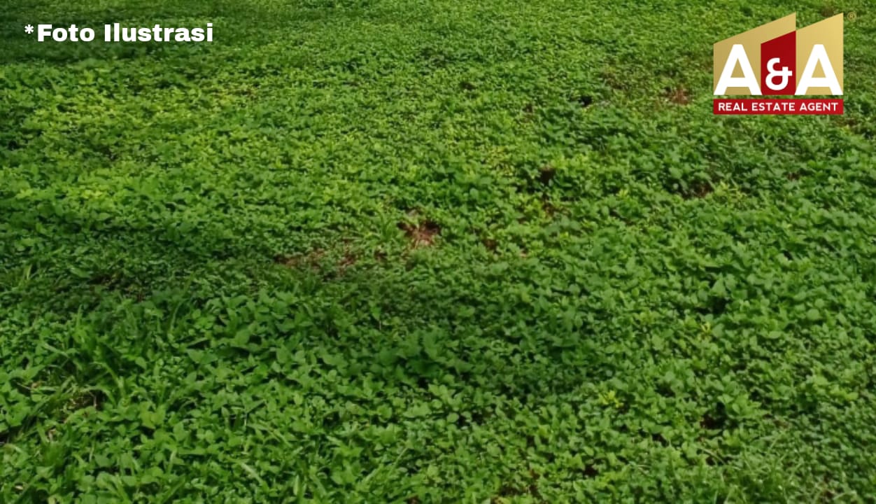 Dijual Tanah Teluk Golf Surabaya Barat - Image 1