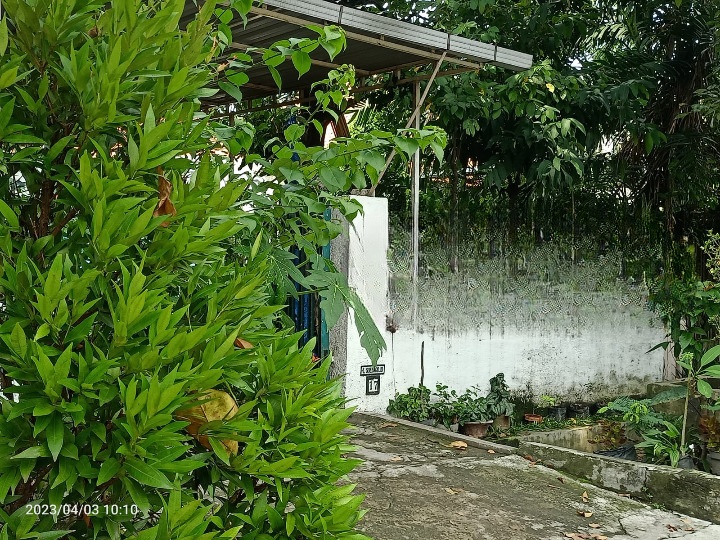 JUAL RUMAH DI JL MUSI - Image 1