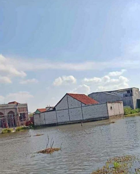 Tanah tambak wonorejo sby - Image 1