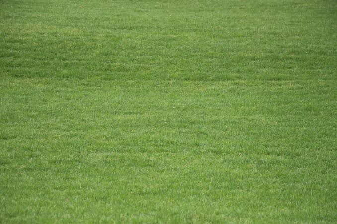 DIUAL TANAH GRAHA FAMILY BLOK D - Image 1