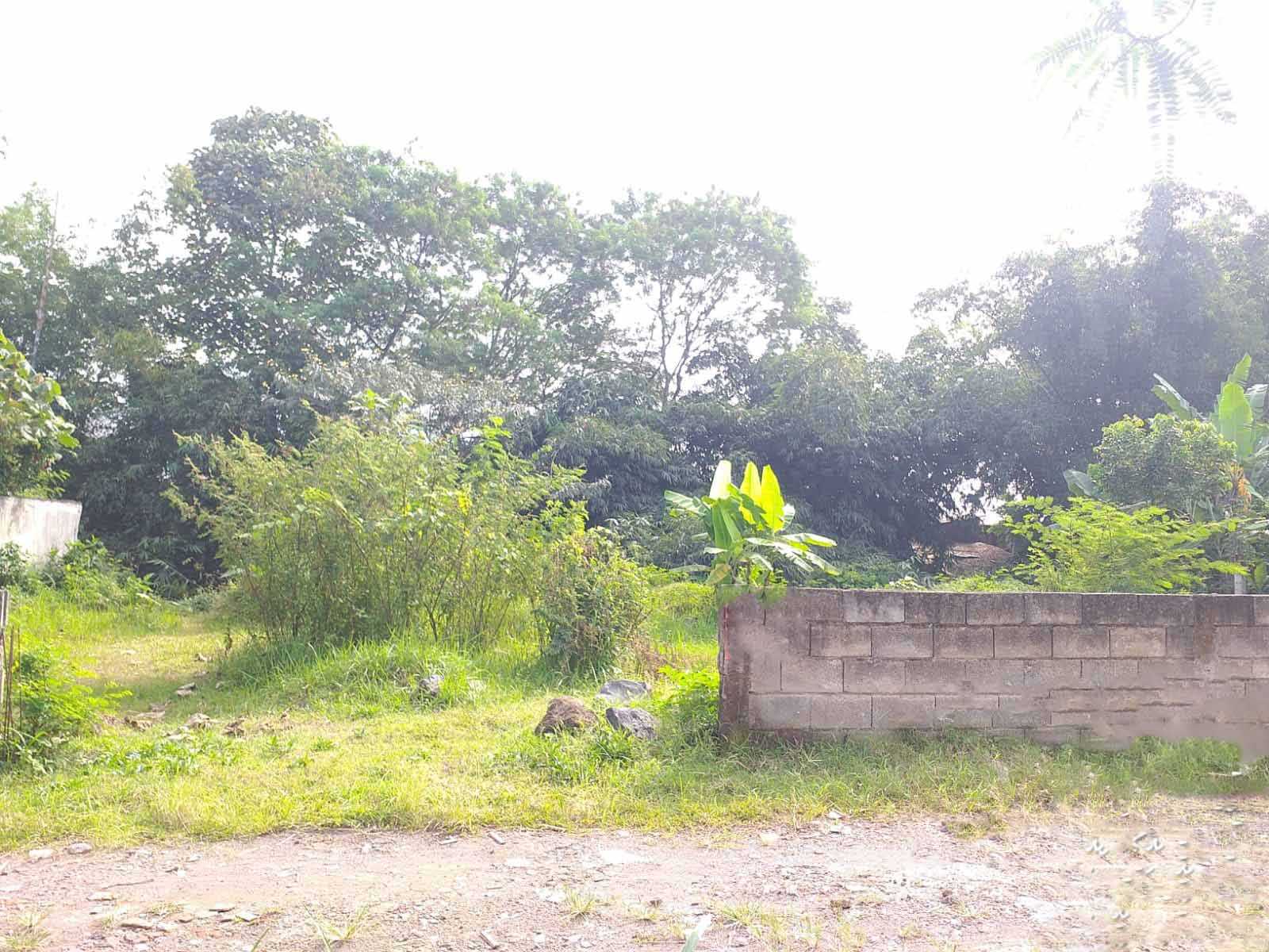 Dijual Tanah Murah di Jalan Terusan Sekar Malang - Image 1