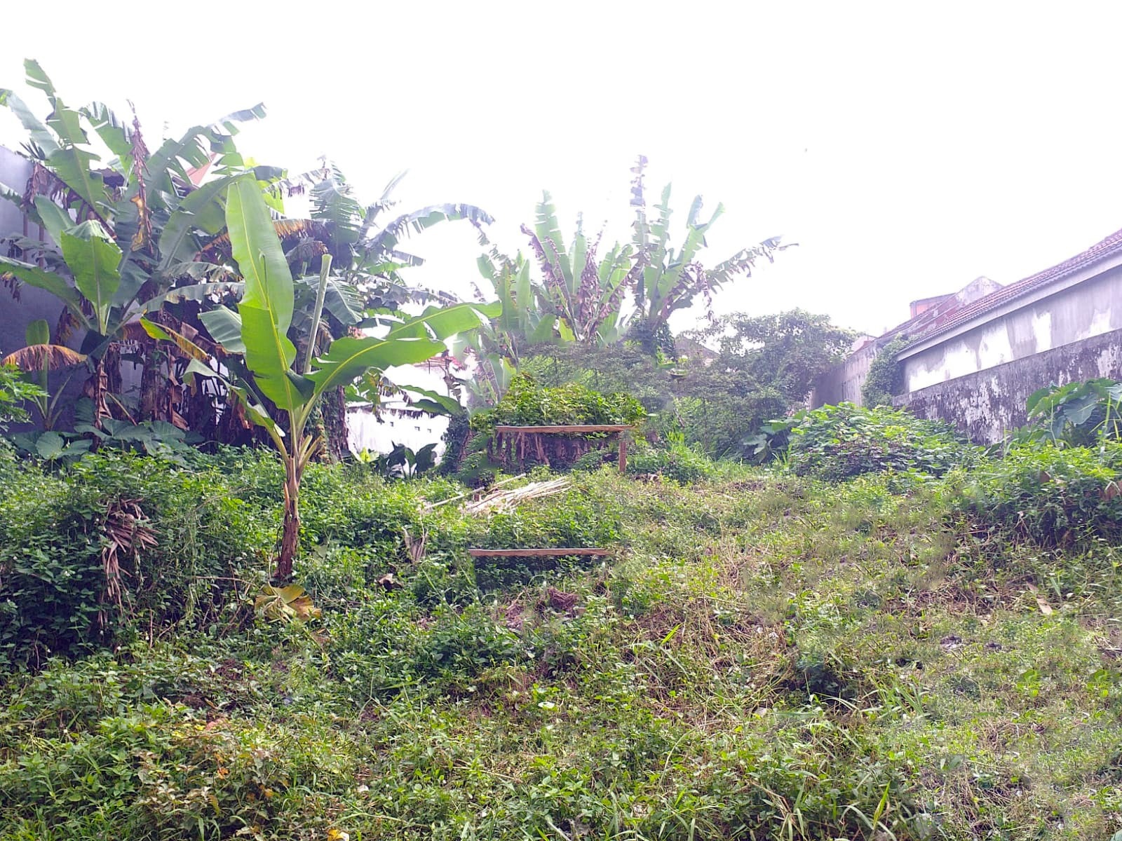 Dijual Tanah Murah di Blimbing Malang - Image 1