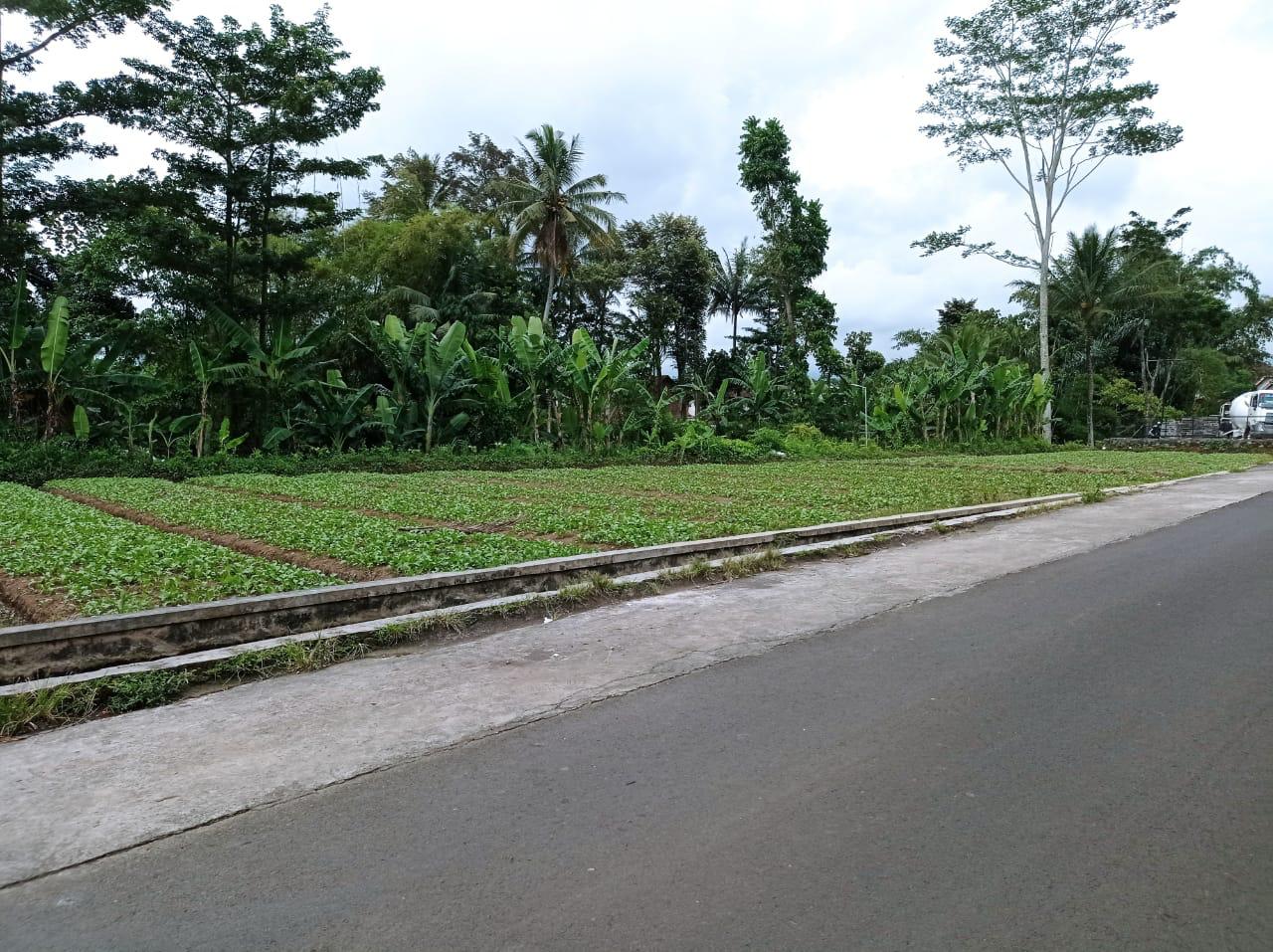 Dijual Tanah Murah strategis di Pakis Malang - Image 1