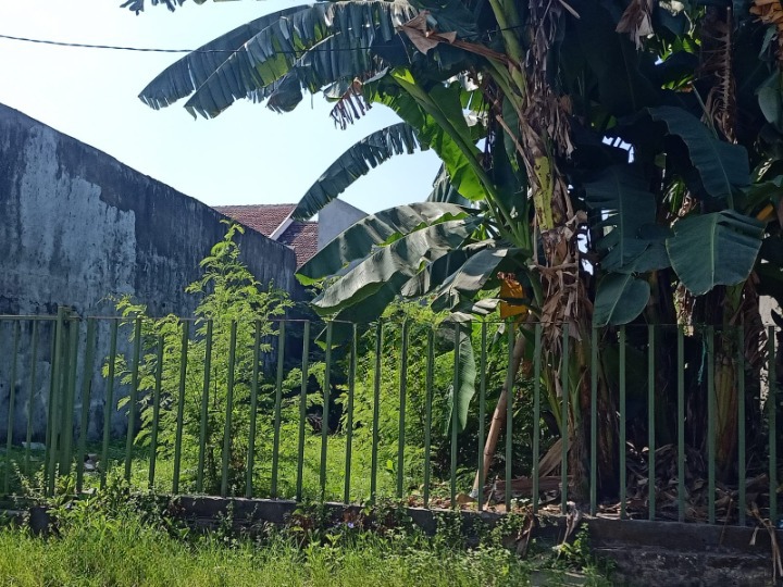 DIJUAL TANAH STRATEGIS SURABAYA SELATAN - Image 1