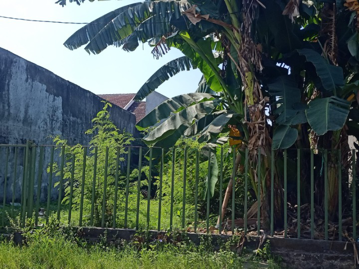 Dijual Tanah Strategis Area Wonorejo Surabaya Selatan - Image 1