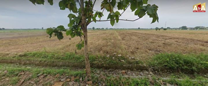 DIJUAL TANAH SAWAH WILAYAH SIDOARJO - Image 1