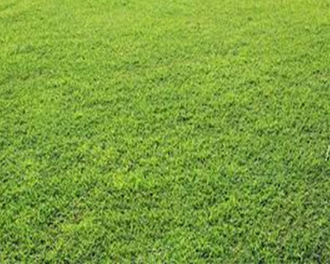 Dijual Tanah Perumahan Surabaya barat - Image 1