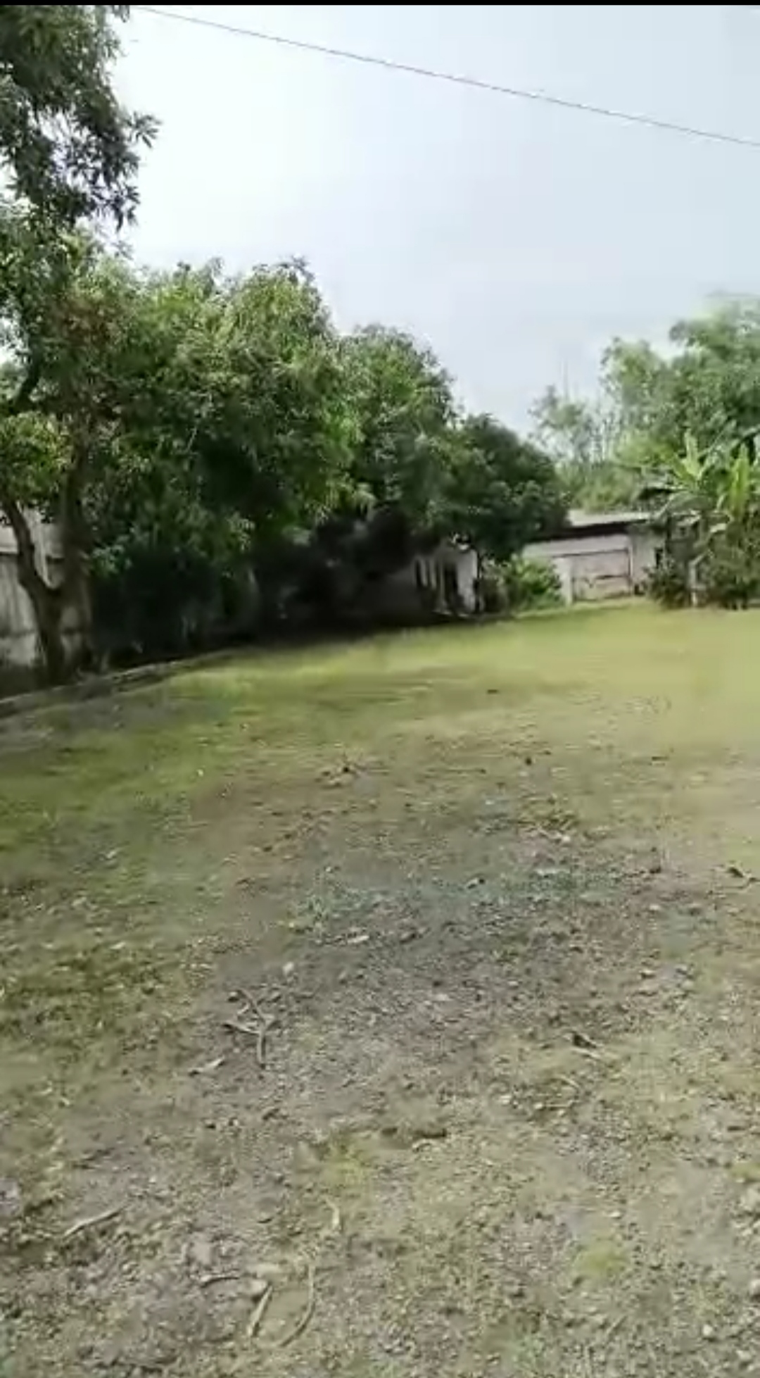 Dijual Cepat Tanah di Mojokerto - Thumbnail 3