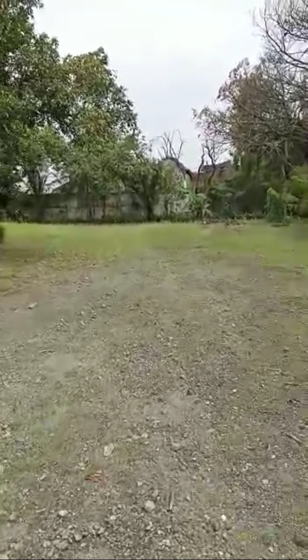 Dijual Cepat Tanah di Mojokerto - Thumbnail 2