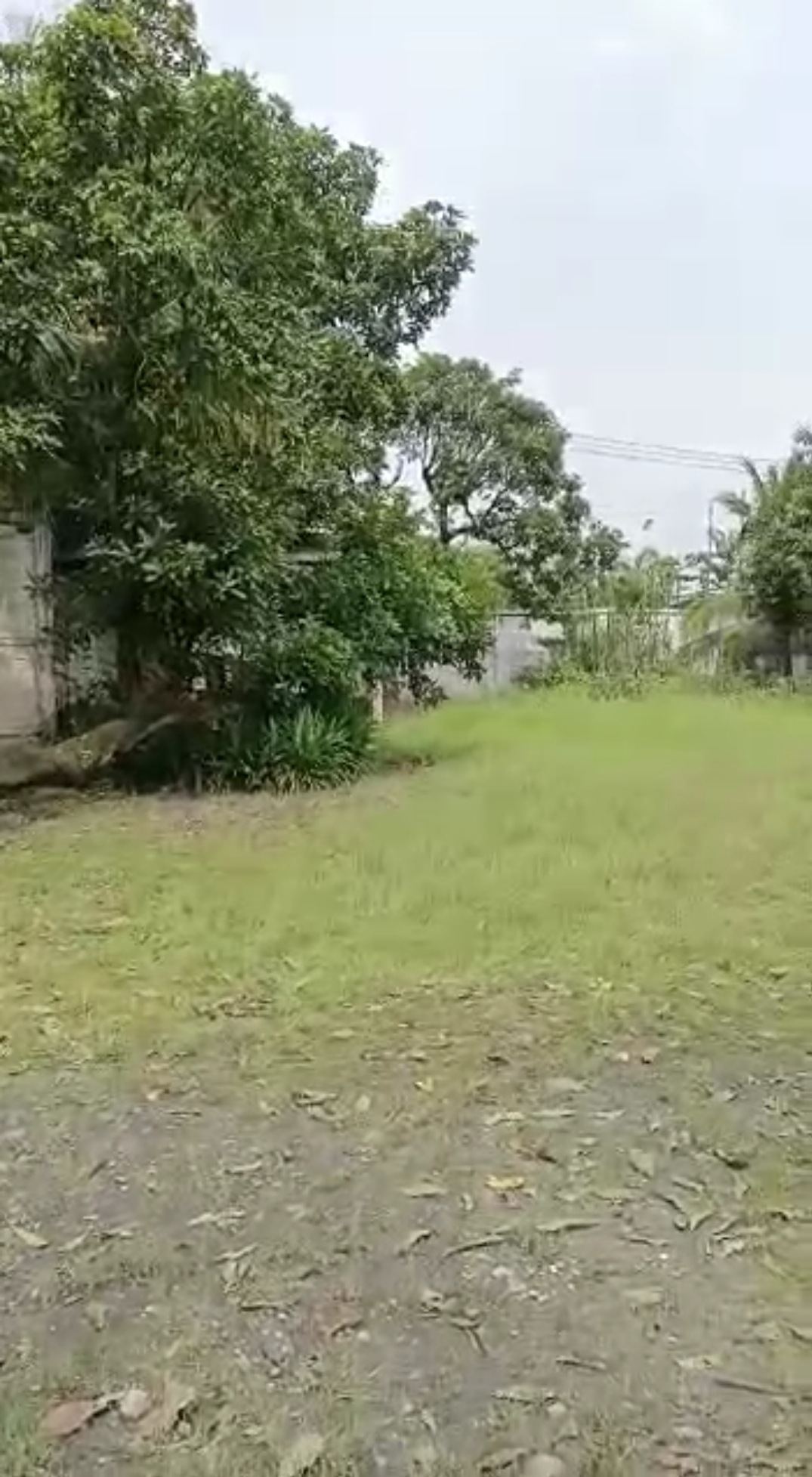 Dijual Cepat Tanah di Mojokerto - Image 1