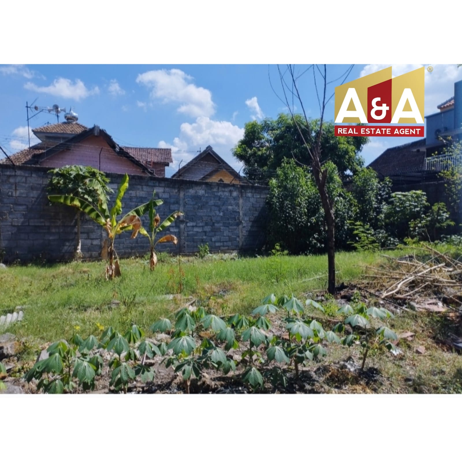 DIJUAL TANAH DI PANDAAN - Image 1