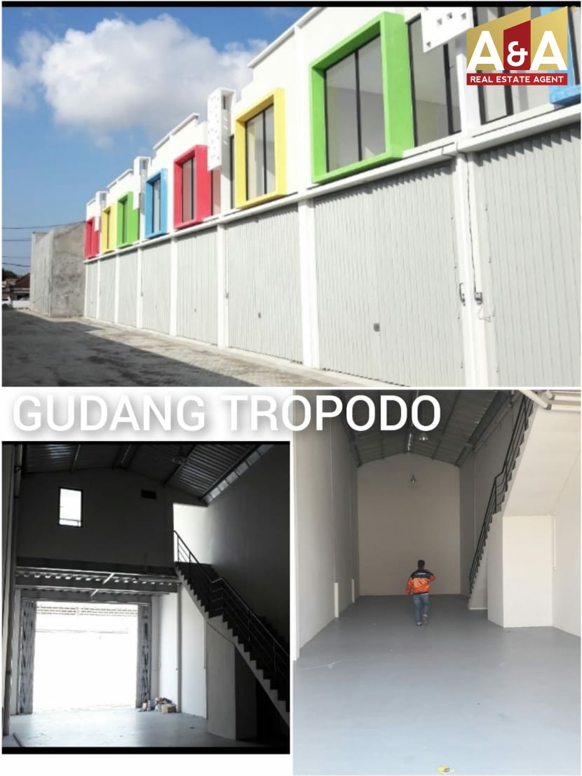 DISEWAKAN GUDANG TROPODO - Image 1