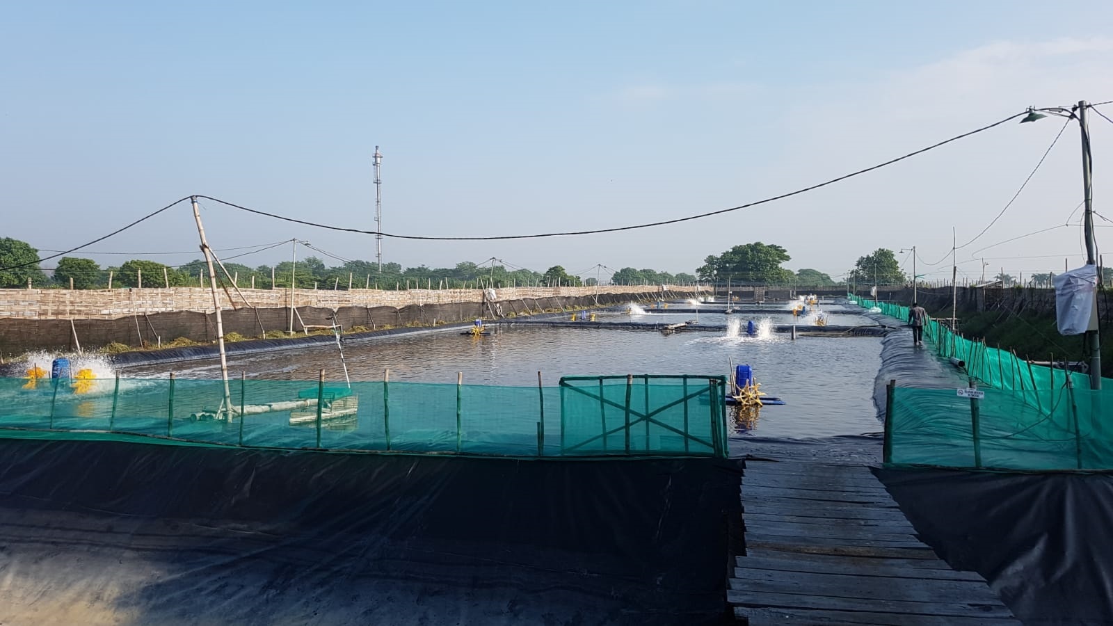 Dijual Tambak Lokasi Strategis Sidoarjo - Image 1