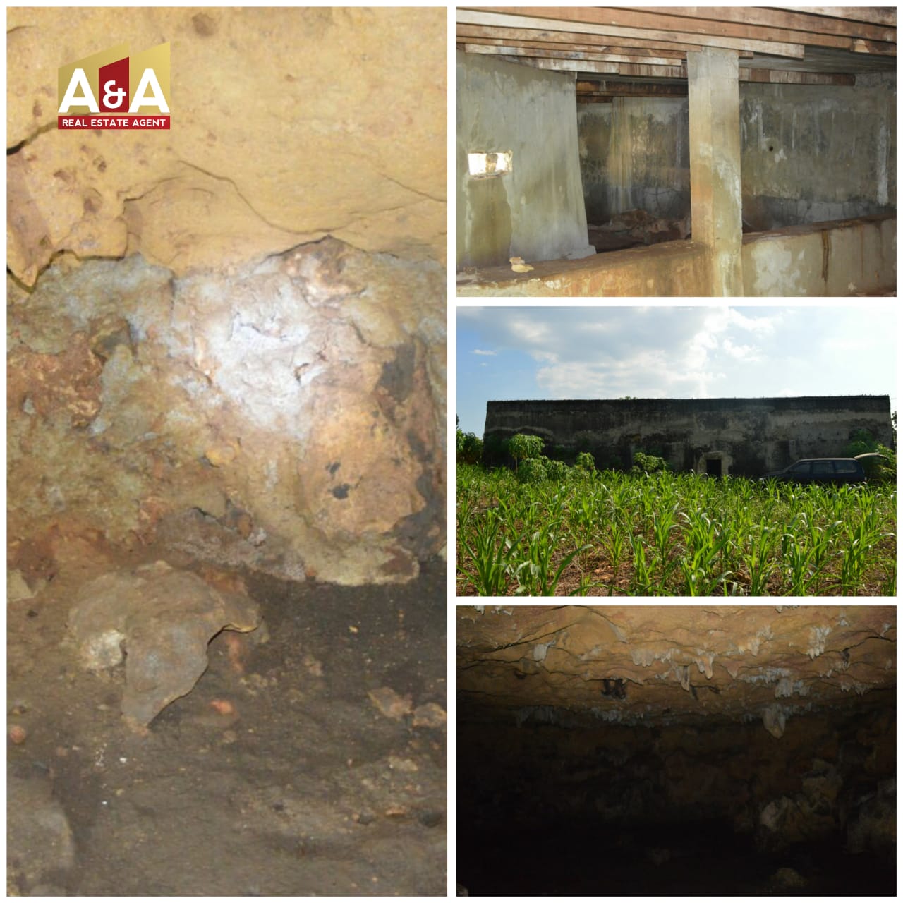 DIJUAL GOA WALET TUBAN - Image 1