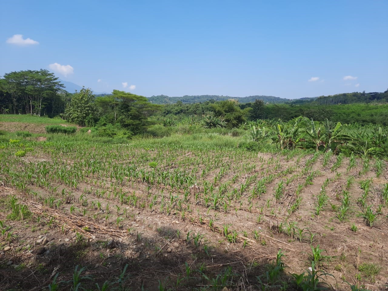 Dijual Tanah Murah Semarang - Image 1