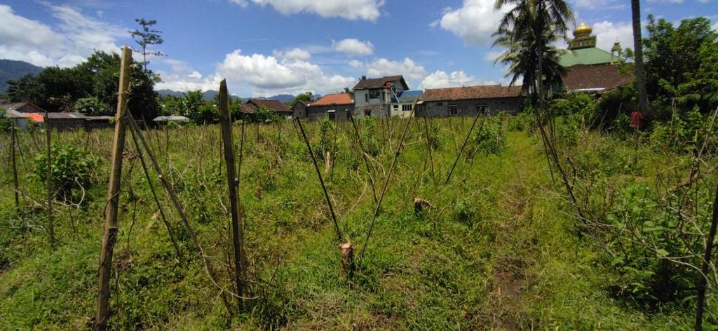 Dijual Tanah Magelang - Image 1