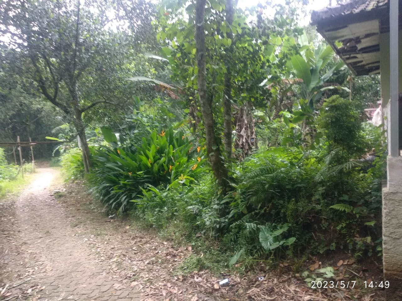 Dijual Tanah Pekarangan - Image 1