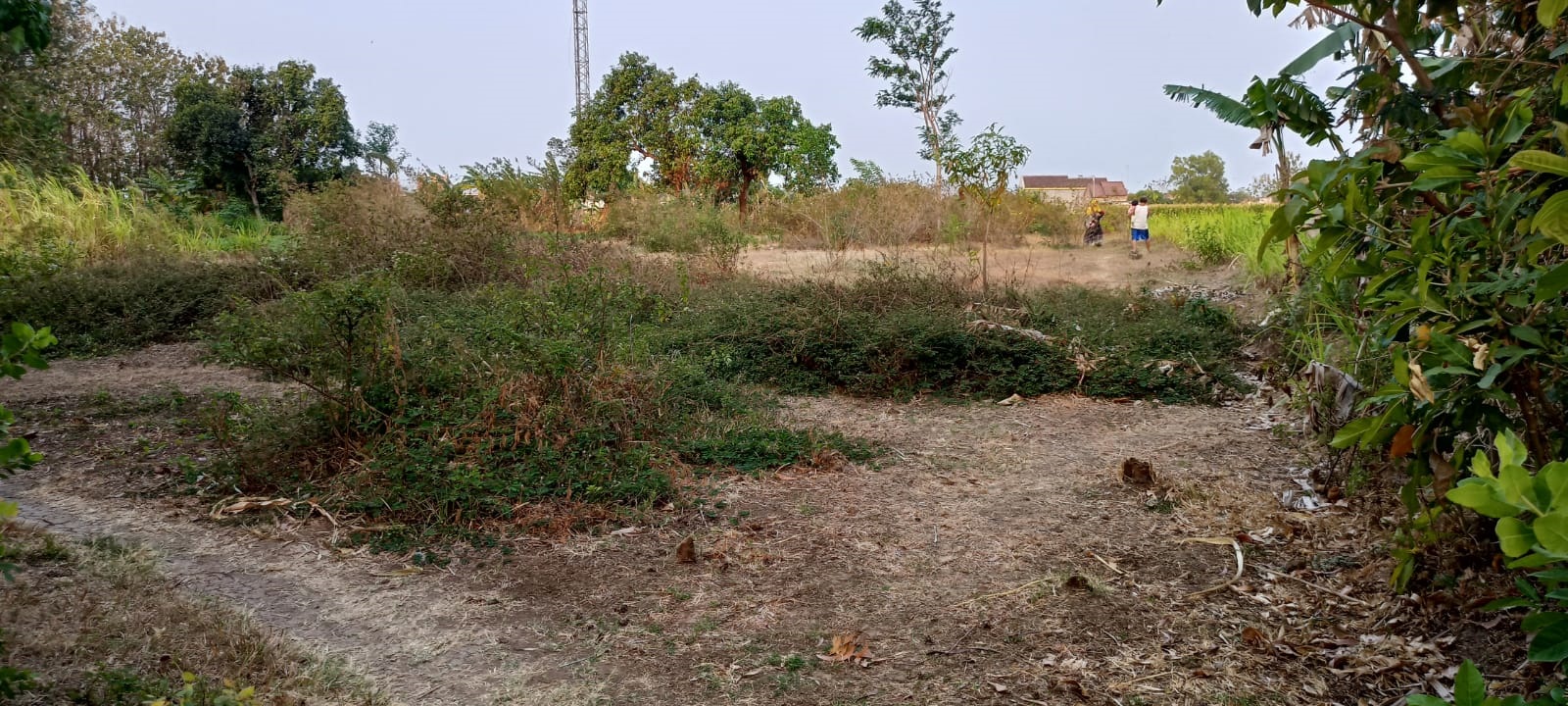 Dijual Tanah Nganjuk - Image 1