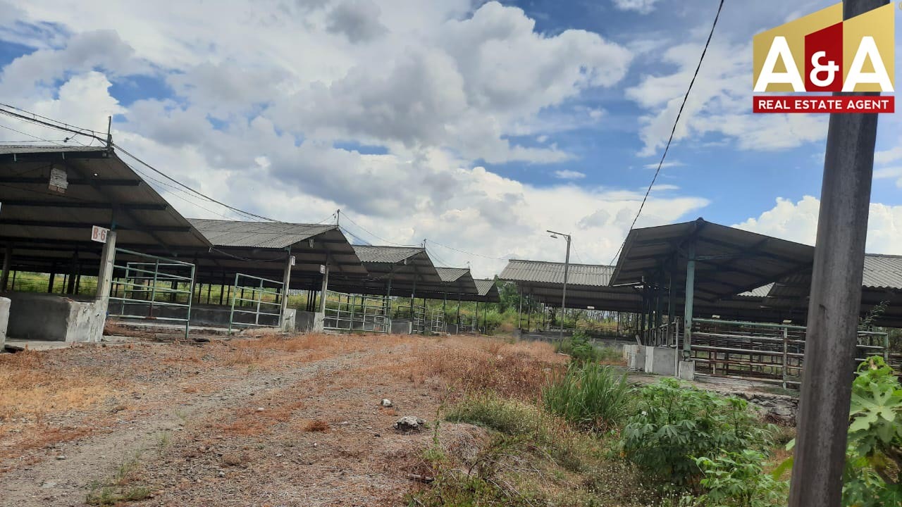 DIJUAL TANAH KANDANG SAPI MOJOKERTO - Image 1