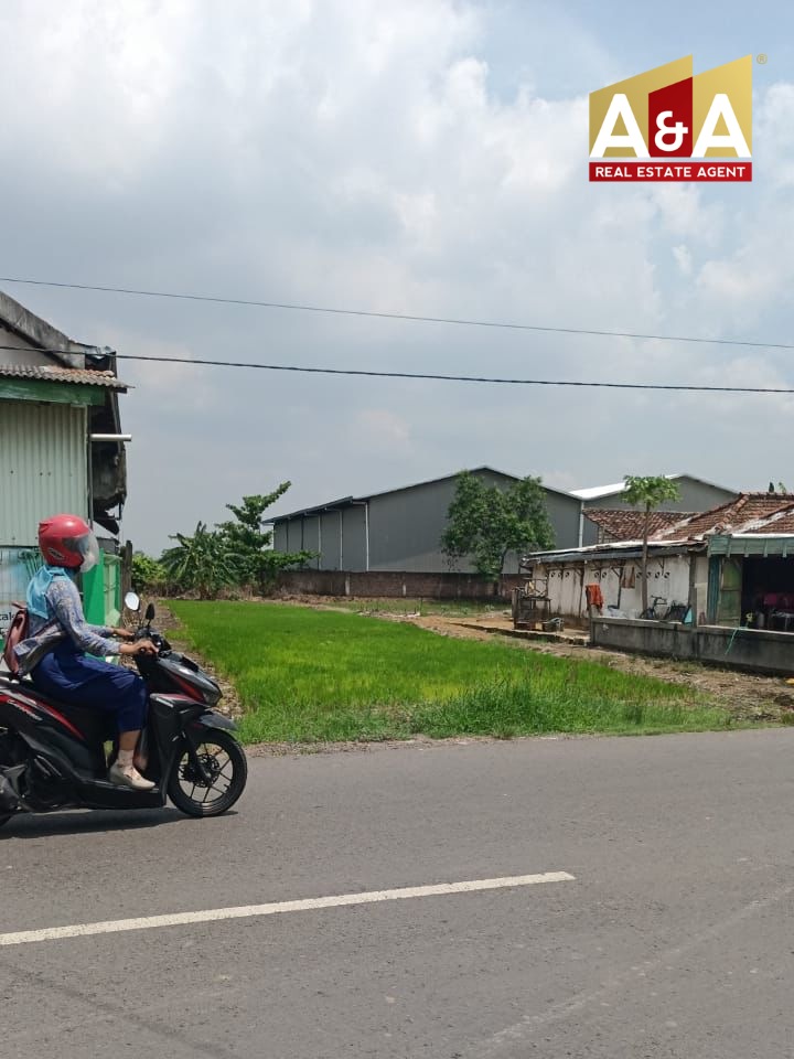 DIJUAL TANAH WILAYAH GRESIK - Thumbnail 3