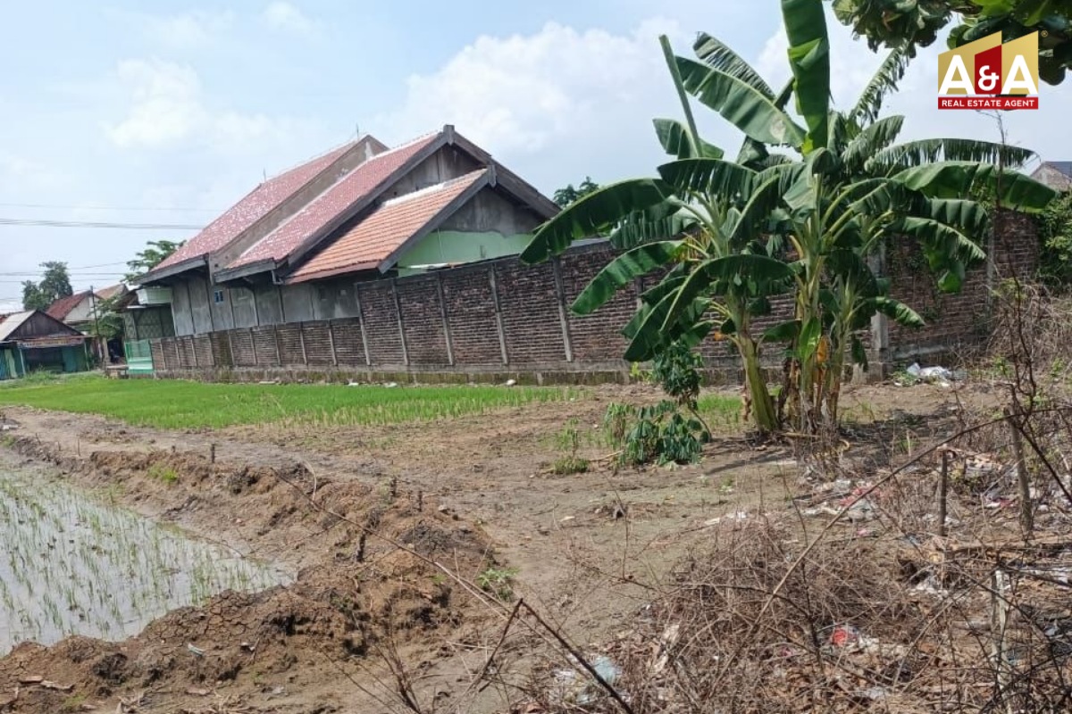 DIJUAL TANAH WILAYAH GRESIK - Image 1