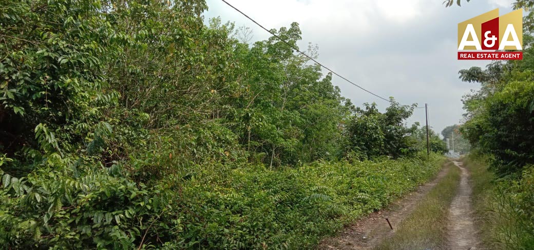 Dijual Tanah Nusa Makmur Sumatera Selatan - Image 1