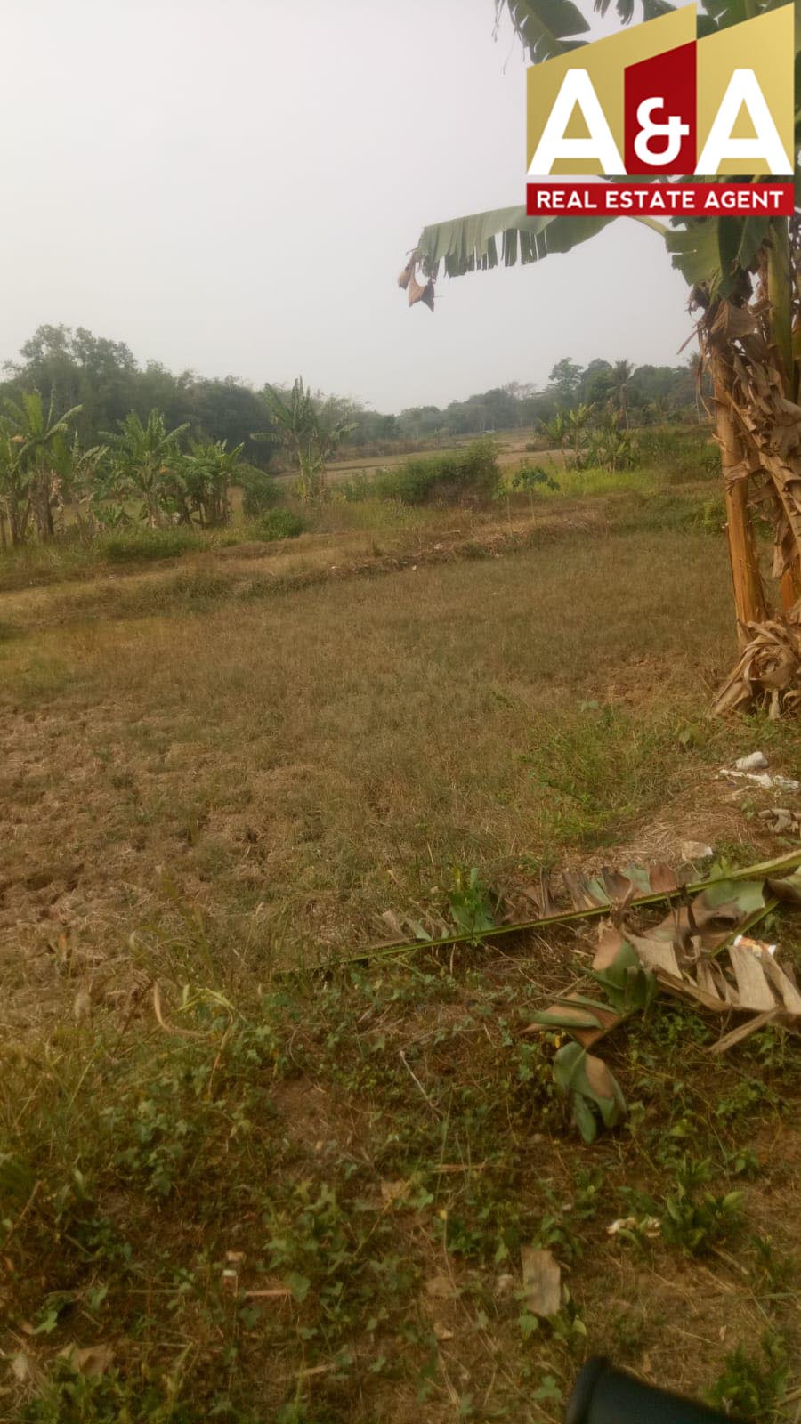 Dijual Tanah Jaga Bita Bogor - Image 1