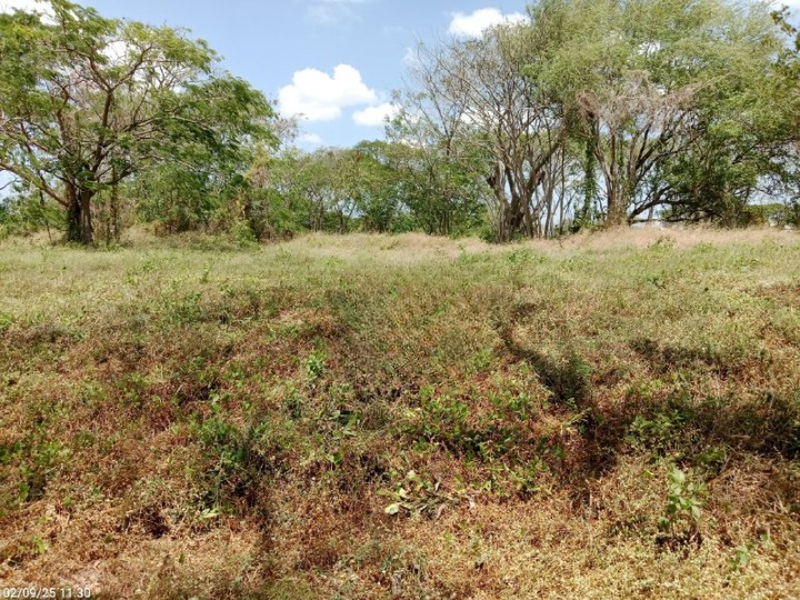 Dijual Tanah Citraland Bukit Golf Internasional Surabaya Barat - Image 1