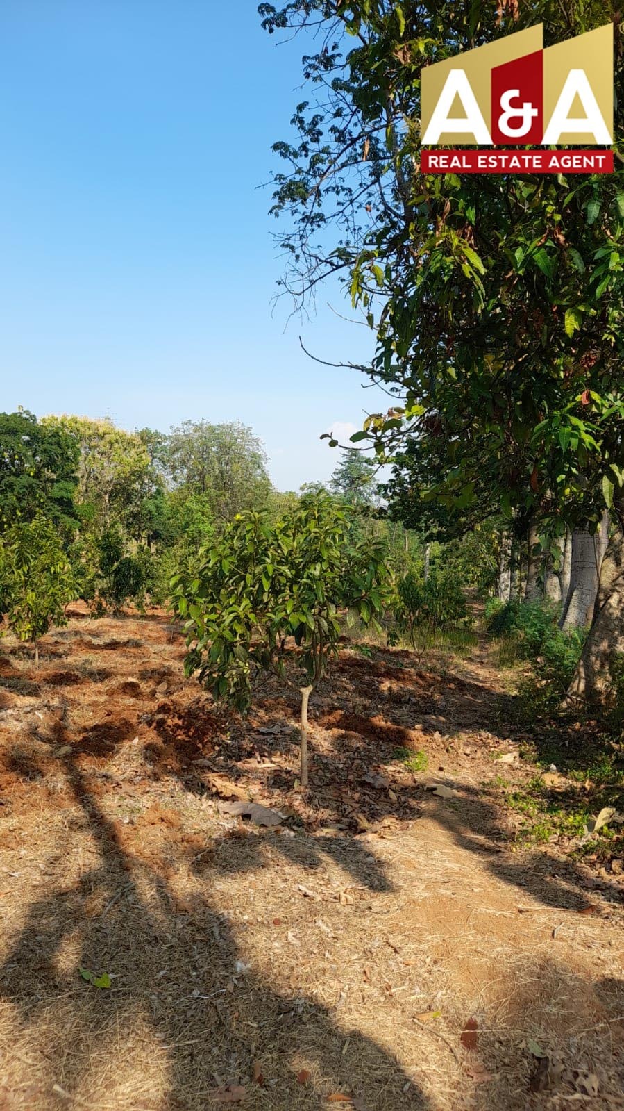 Dijual Tanah Ds.Guwo Jawa Tengah - Image 1