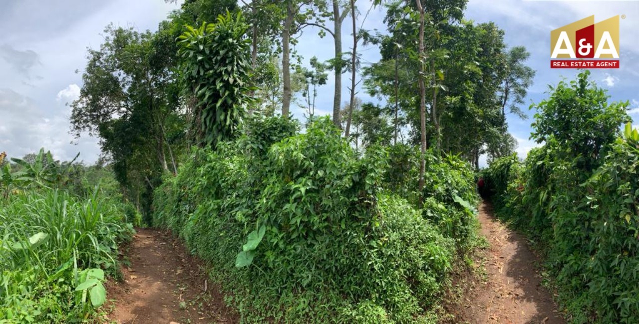 DIJUAL TANAH WILAYAH PASURUAN - Image 1