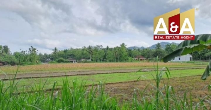 DIJUAL TANAH LOKASI GRESIK - Image 1