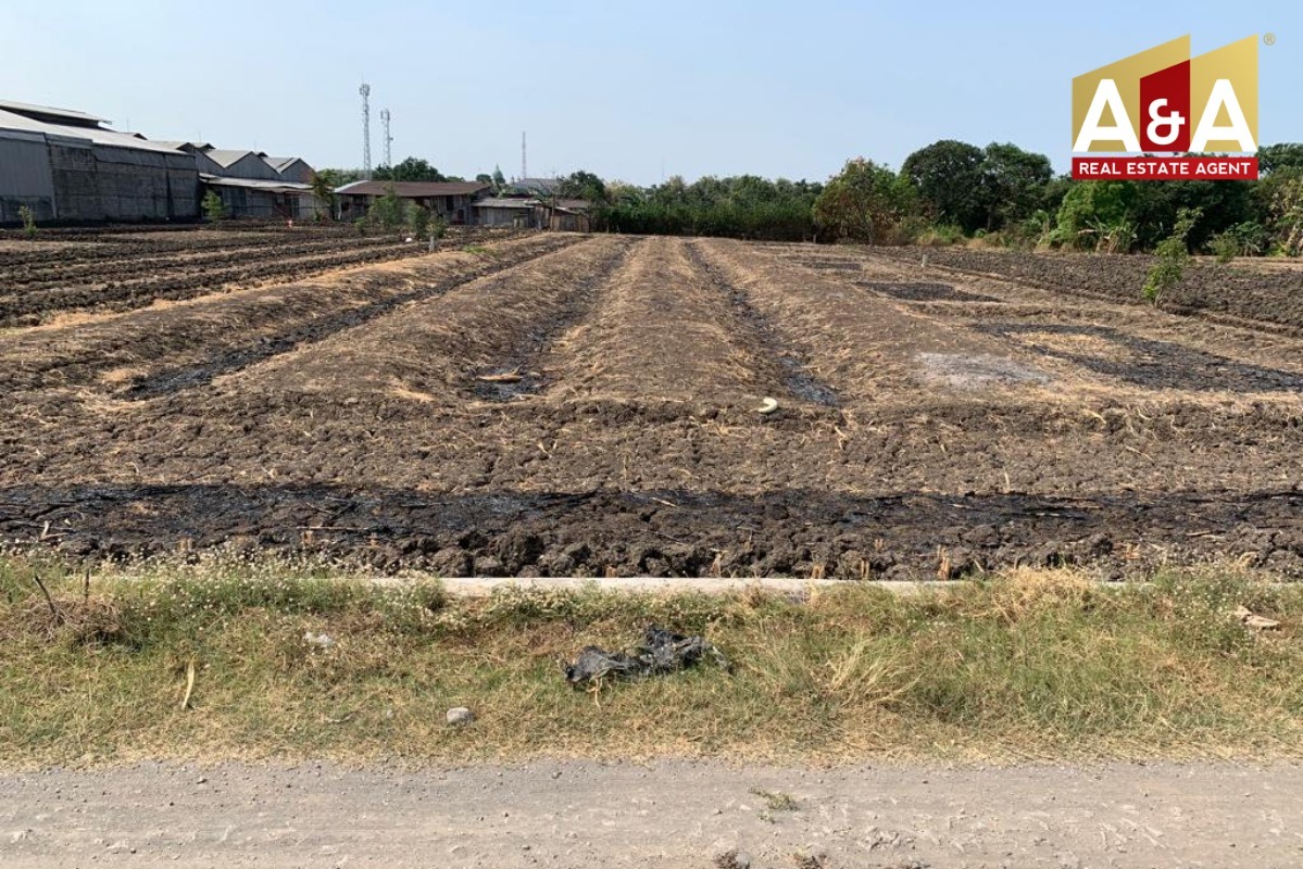 DIJUAL TANAH WILAYAH GRESIK - Image 1