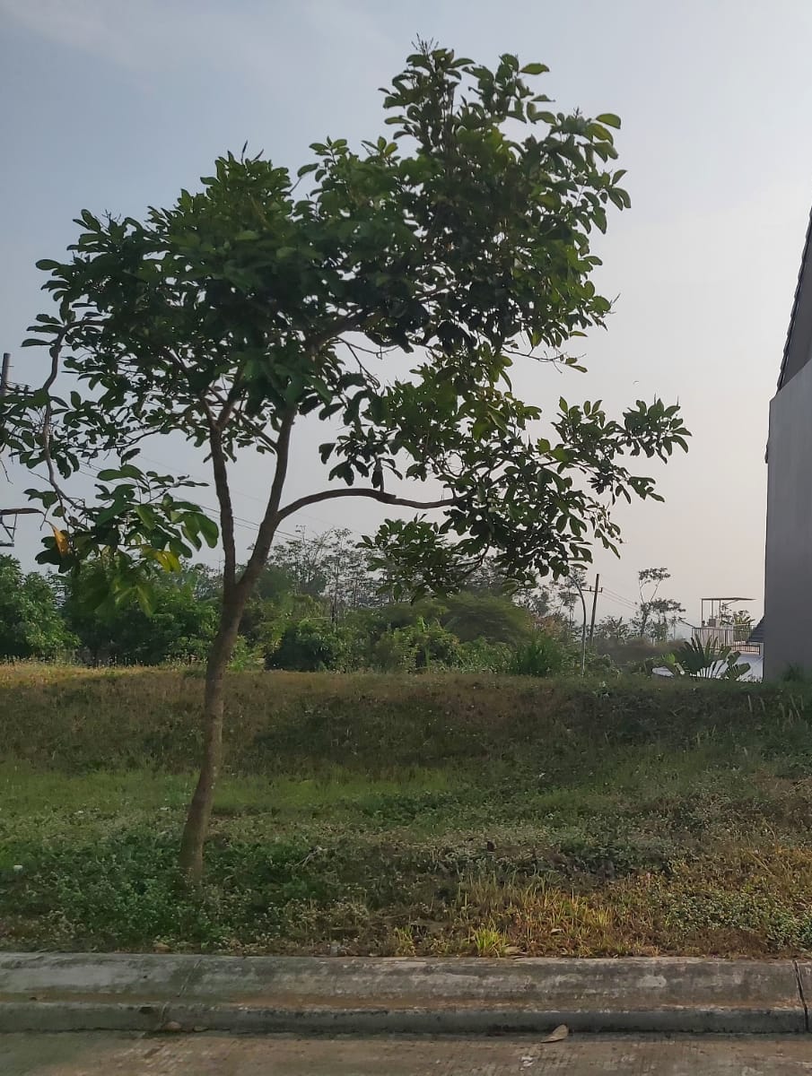 Dijual Tanah Perumahan Balas Klumprik Surabaya Barat - Image 1