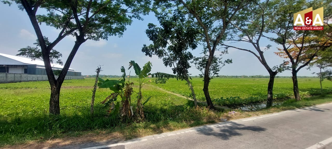 DIJUAL TANAH WILAYAH BOJONEGORO - Image 1