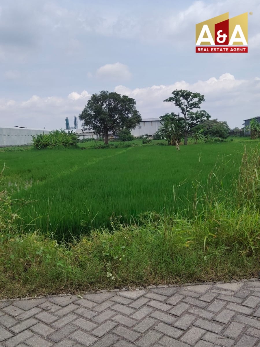 DIJUAL TANAH SAWAH WILAYAH SIDOARJO - Image 1