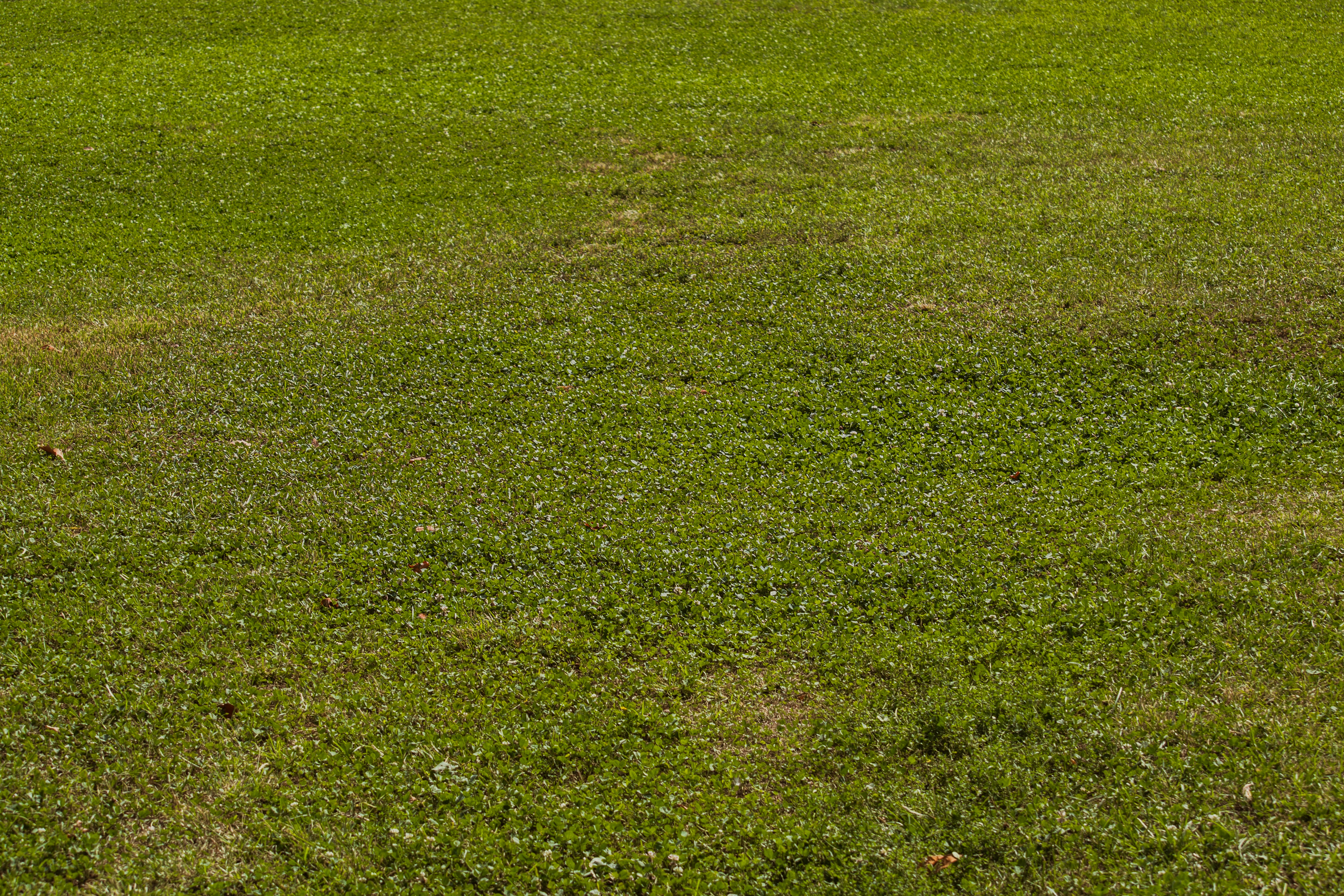 DiJual Tanah Industri Makassar - Image 1