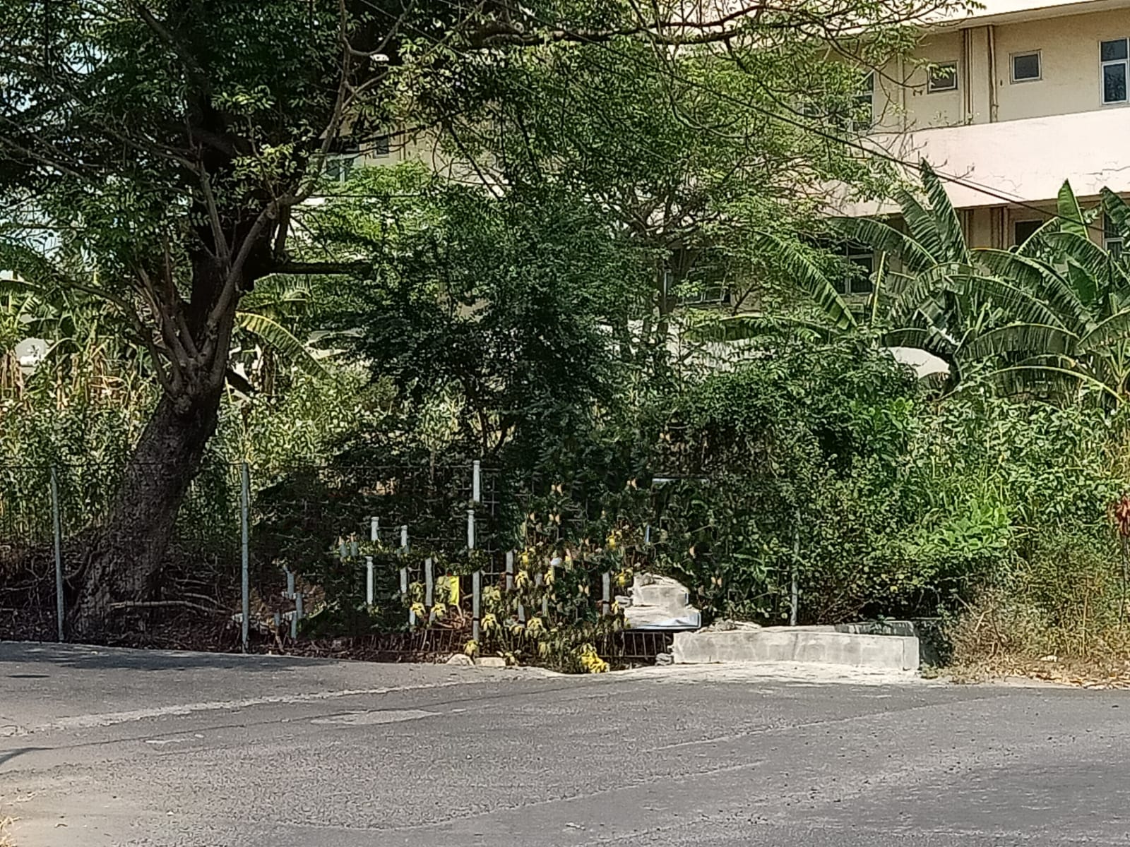 DIJUAL TANAH SURABAYA BARAT - Image 1