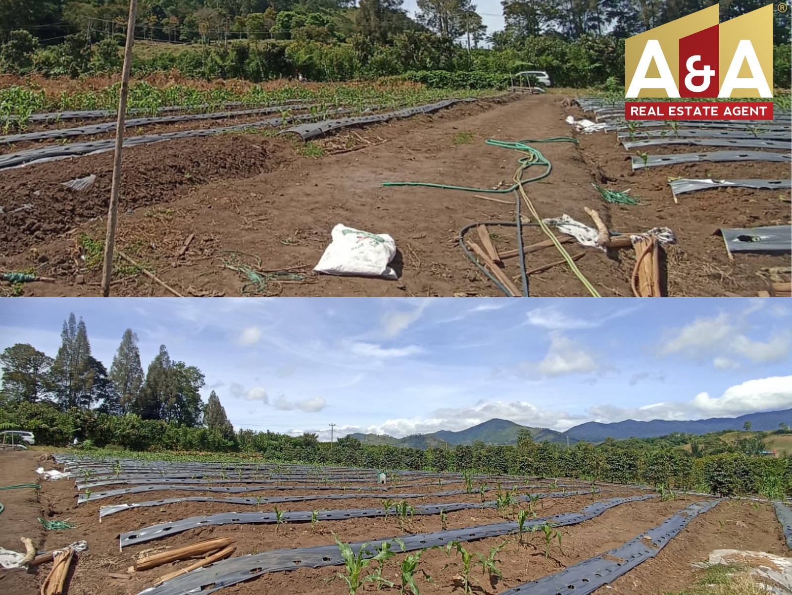 DiJual Tanah Komersial Sumatera Utara - Image 1