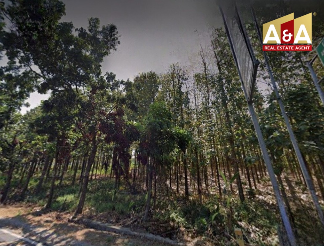 DIJUAL TANAH WILAYAH TUBAN - Image 1